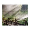Trademark Fine Art -Pierre Leclerc 'Forest Sunlight' Wood Slat Art - 2 of 4