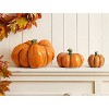 Transpac Terracotta 9.75 in Orange Harvest Pumpkin Decor Set of 3 for Fall and Harvest Home Decoration - 2 of 4