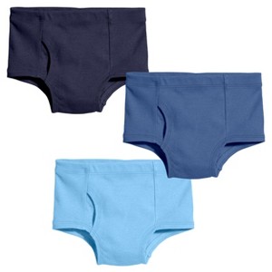 City Threads Boys 100% Organic Cotton Briefs, 3-Pack - USA-Made - 1 of 4