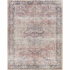 Hauteloom Pink Dunshaughlin Distressed Washable Area Rug - 1 of 4