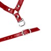 Allegra K Women's Detachable Adjustable Anti-Slip Shoe Straps Bands Belts with Buckle for Heels 2 Pairs - 2 of 4