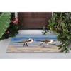 Liora Manne Frontporch Coastal Indoor/Outdoor Rug.. - 2 of 4