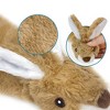 Best Pet Supplies 2-in-1 Stuffless Squeaky Dog Toy with Soft, Durable Fabric for Small, Medium and Large Pets, No Stuffing for Indoor Play - Combo Set - 2 of 4