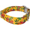 Country Brook Petz 1 1/2 Inch Premium Dog Collar - Summer Breeze Collection - 3 of 4