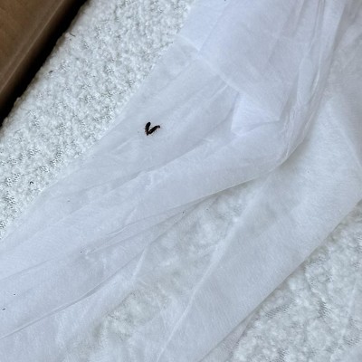 Guest review image 1 of 3, zoom in