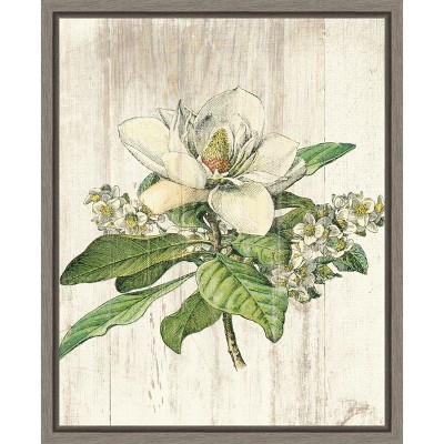 Amanti Art Magnolia de Printemps Flower by Sue Schlabach Canvas Wall Art Print Framed 16 x 20-in.