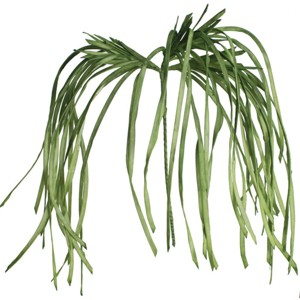 Overflowing Frond Stem – 55" Artificial Green Botanical with Flexible Tendrils (Set of 6) By Kalalou - 1 of 3