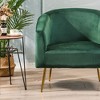 Nordlys Metal and Velvet Lounge Chair Modern Design Style Upholstery Living Room - 2 of 4