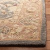 Anatolia AN549 Hand Tufted Indoor Rug -Safavieh - 2 of 4