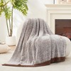 Amelie Home Reversible Plush Knit Throw Blanket - Soft & Cozy Feather Yarn Design - 2 of 4