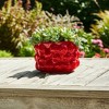 Cheerful Planter Pot Perfect for Indoor or Outdoor Herbs, Ferns, or Succulents - Modern Pot for Indoor - Great for Garden and Patio Decor - 2 of 4
