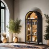 FURNIinspire Utility Storage Cabinets Living Room Decorative Display Cabinet, Showcase, Kitchen Pantry Cupboard, Multicolored, 18.1"*36"*74.8" - 2 of 4