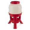 Little Giant DOMEFDR45 45 Pound Feed Heavy Duty Poultry Chicken Gravity Feeder - 2 of 4