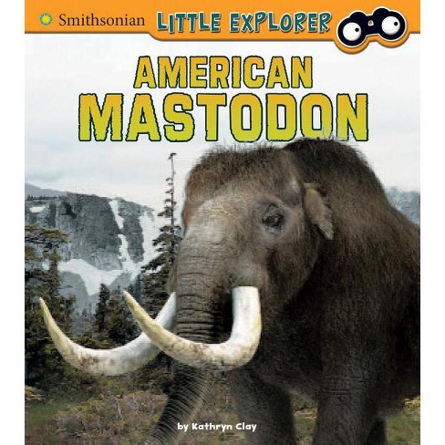 American Mastodon - (Little Paleontologist) by  Kathryn Clay (Paperback) - image 1 of 1