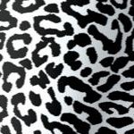 black animal paw