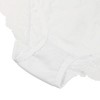 Agnes Orinda Women's 3-Pack Lace Trim High-Rise Solid Brief Stretchy Underwear - 3 of 4
