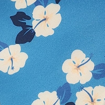 sky blue, blue and white