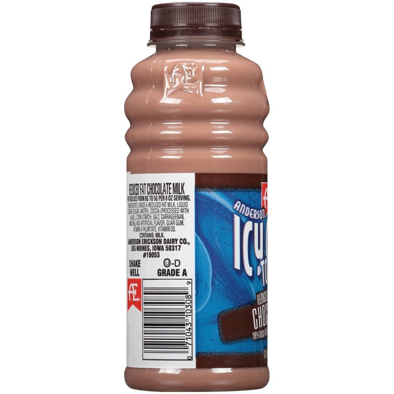 Anderson Erickson Reduced Fat Chocolate Milk - 12 fl oz, 4 of 6