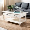 Boris Coffee Table  - Safavieh - 2 of 4