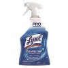 Professional Lysol Disinfectant Bathroom Cleaner  - 32 fl oz (Case of 12) - 2 of 4