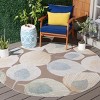 Sarasota SAR110 Power Loomed Area Rug  - Safavieh - 2 of 4