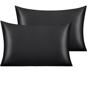 2 Pack Satin Pillowcases for Hair and Skin, Luxurious and Silky Pillow Cases with Envelope Closure - NTBAY - 1 of 4