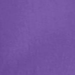 petal purple