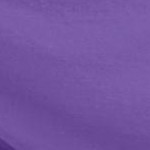 petal purple