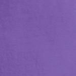 petal purple