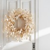 Silver Dollar Eucalyptus Wreath 33"D - 2 of 3
