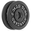 Philosophy Gym Set of 2 Cast Iron Olympic 2-inch Weight Plates - 2 of 4