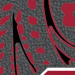 stanford cardinal