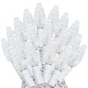 Novelty Lights C6 Coaxial 24 Feet 70 TrueTwinkle® LED Christmas String, Commercial Grade - 4 of 4