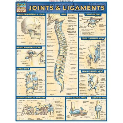 Joints & Ligaments - (Quickstudy: Academic) by  Vincent Perez (Poster)