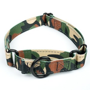 Country Brook Petz Reflective Martingale Dog Collar - 1 of 4