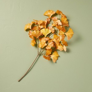 Tallo de ginkgo amarillo 25" - Hearth & Hand™ with Magnolia