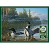 Cobble Hill: Common Loons 1000 Piece Puzzle - 4 of 4
