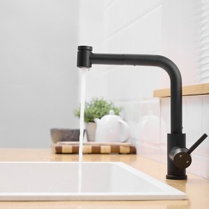 Kitchen Sink Faucet, Brushed Nickel Pull Out Sprayer, Stainless Steel - 1 of 4