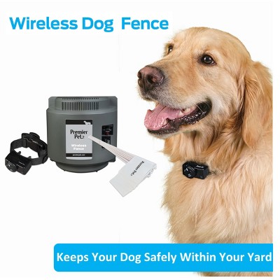 PetSafe Stay+Play Wireless Fence Receiver Dog Collar - Pet Valu