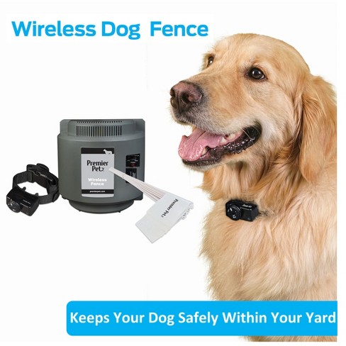 Petsafe Stubborn Dog Stay And Play Adjustable Wireless Fence Receiver  Collar - Black : Target