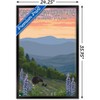 Trends International Lantern Press - Great Smoky Mountains Spring Flowers Framed Wall Poster Prints - 3 of 4