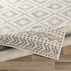 Hauteloom Romeoville Trellis Rug - 3 of 4