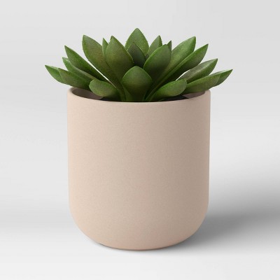 Artificial Mini Thick Succulent in Ceramic Pot - Project 62&#8482;