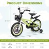 Infans Rabbit Pilot Sporty Kids Bike, 16 Inch Child Bike for 4-7 Years Old with Adjustable Height, Training Wheels, Handbrake & Coaster Brake, Green - 2 of 4