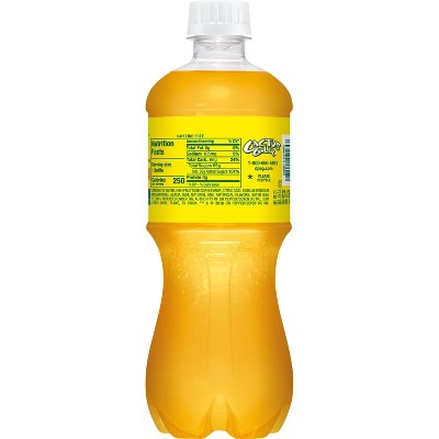 Cactus Cooler Orange Pineapple Soda - 20 fl oz Bottle