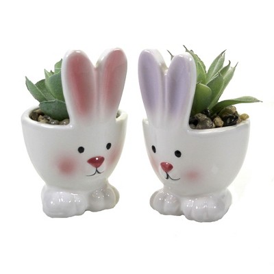 Easter 4.0" Bunny W/Succulent Figurine Rabbit Cactus  -  Decorative Figurines