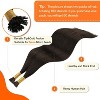 Jessie's Wig 10-24 Inch I tip Hair Extensions Human Hair For Women Thin Hair Straight #2 dark brown 50S/Pack - 2 of 4