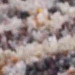 light brown, taupe, gray, dark brown, medium brown