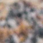 light brown, taupe, gray, dark brown, medium brown