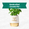 Back to the Roots Organic Sweet Basil Wellness Planter Grow Kit with Pot Soil and Seeds - 2 of 4